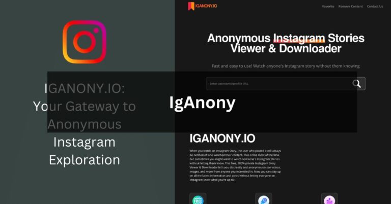 IgAnony: Your Secret Window into Instagram Stories