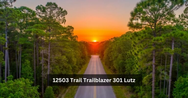 12503 Trail Trailblazer 301 Lutz – An In-Depth Look at a Modern Gem