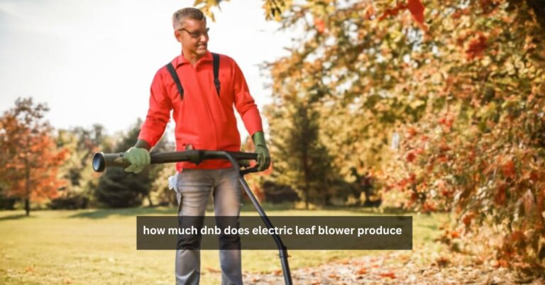 how much dnb does electric leaf blower produce – A Comprehensive Guide